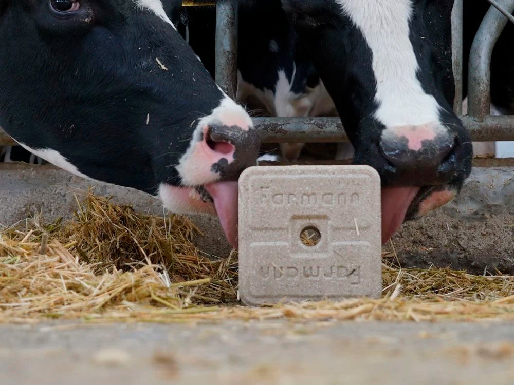 Minerals & Supplements Cattle