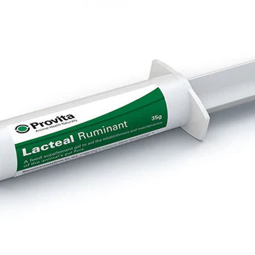 Provita Lacteal Ruminant