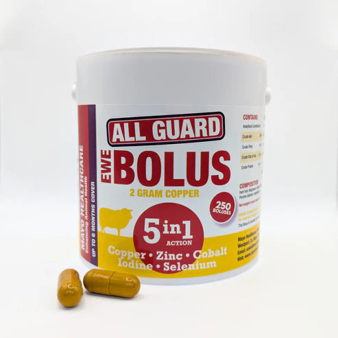 All Guard Ewe 5 in 1 Bolus (100 pack)