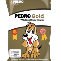Pedro Gold for Working Dogs